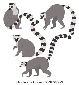 Set of ring tailed lemurs isolated on a white background. Vector graphics.