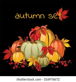 Set of ripe autumn fruits and berries. Bountiful harvest. Postcard with your text. Vector.