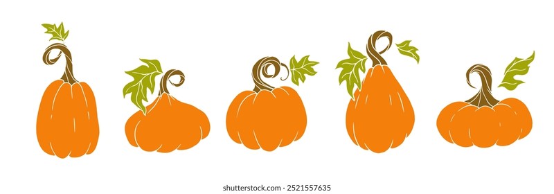 Conjunto de calabazas de verduras de otoño maduras. Gráficos de Vector.
