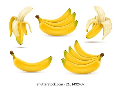 Un conjunto de bananas maduras. Frutas tropicales dulces. 3.ª ilustración vectorial realista