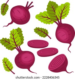 Set of ripe beets, halves, slices and leaves. Vector illustration in flat style isolated on white background.