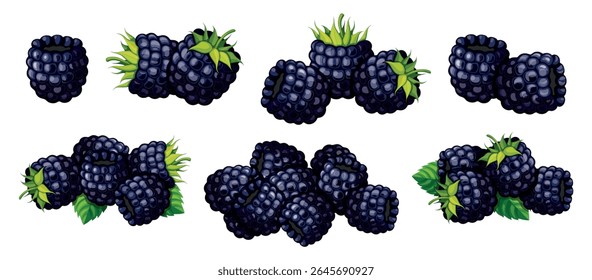Set of ripe blackberries in cartoon style. Vector illustration of fresh, juicy blackberries, peeled and with stems, leaves isolated on white background. Seasonal berries. Healthy snacks.
