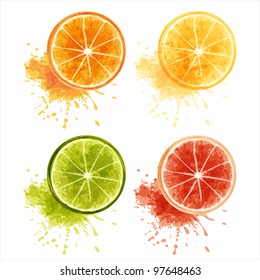 Set of ripe citrus fruits  - orange, lemon, lime, grapefruit. EPS10