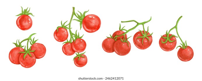 Set of ripe fruits of red cherry tomatoes. Vector graphics.