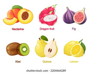 A set of ripe juicy fruits on a white background. Cartoon design.
