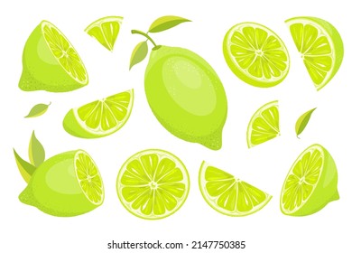 A set of ripe, juicy green limes. Whole lime, cut in half, slices and pieces of ripe fruit.Citrus fruits with leaves.Vector illustration.