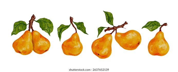 Set of ripe, juicy pears with green foliage. Vector graphics.
