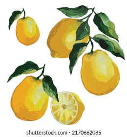 set of ripe lemon fruits on a branch with leaves vector