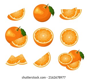 A set of ripe oranges on a white background. Cartoon design. Vector illustration.