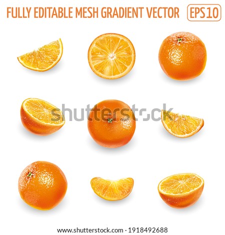 Set of ripe oranges on a white background.