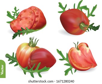 Set of ripe oxheart tomato, whole, half and slices with arugula leaves on transparent background. 3d realistic vector food illustration of vegetables and herbs.