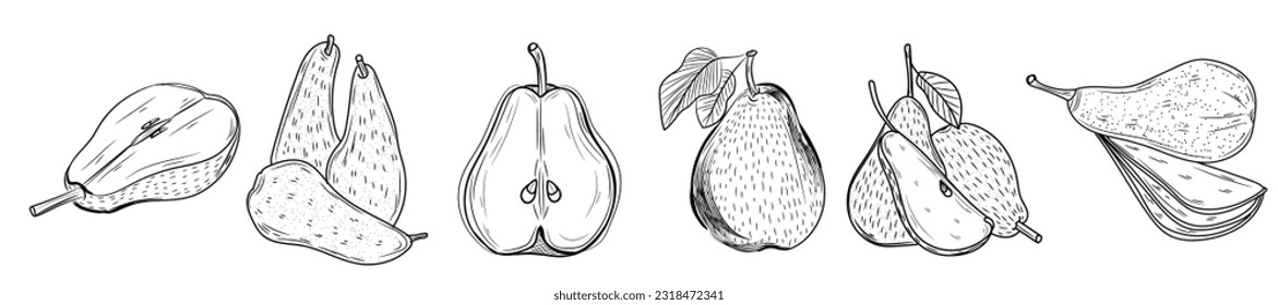 Set of ripe pears on white background