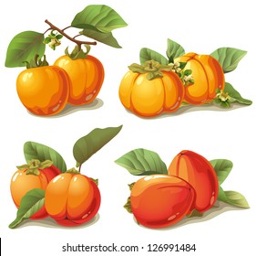 set of ripe persimmon with leaves and flowers