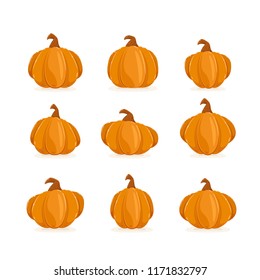 Set of ripe pumpkins isolated on white background for halloween or thanksgiving day, illustration.