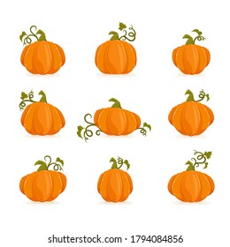 Conjunto de calabazas maduras aisladas sobre fondo blanco. Elementos de dibujos animados para el diseño de vacaciones. Iconos para Halloween o el Día de Acción de Gracias. La ilustración se puede usar para fondos de vacaciones, tarjetas, banners.