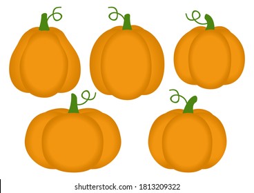 Set of ripe pumpkins isolated on white - vector pumpkins for autumn and Halloween design