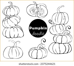 Set of ripe pumpkins stacked in sketch, doodle style. 
Set of pumpkins of various shapes, outlined in black. Elements for autumn decoration, Halloween invitations, harvest.