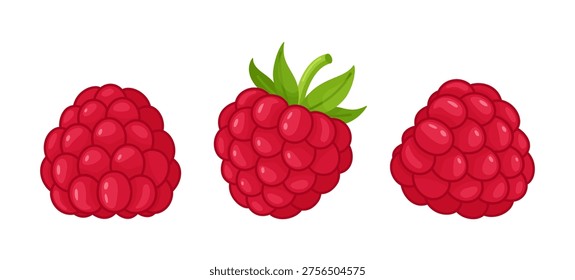 Set of ripe raspberries. Hand drawn trendy flat style isolated. Bright juicy berries perfect for food design, menus, summer themes, kitchen decor, stickers, menus, apps, posters. Vector illustration