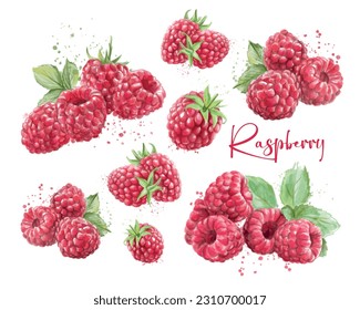 Set of ripe raspberries on white background