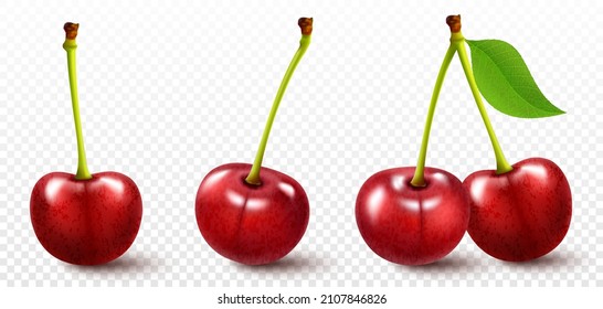 Set of ripe red cherries. Realistic 3d vector illustration. Bright berries isolated on white background