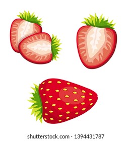 set of ripe red strawberries vector illustration