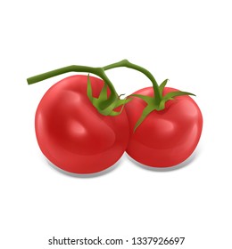 Set of ripe and red tomatoes isolated on white background, Tomato set in realistic style, vector illustration