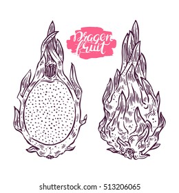 set of ripe sketch dragon fruit. hand-drawn illustration