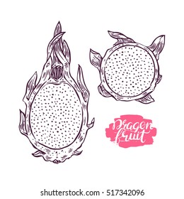 set of ripe sketch dragon fruit. hand-drawn illustration