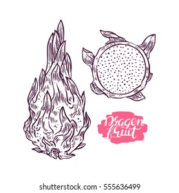 set of ripe sketch dragon fruit. hand-drawn illustration