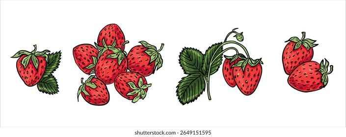 A set of ripe strawberries in different groupings and arrangements. Includes single berries, bunches, and a branch with leaves. Perfect for food packaging, patterns, or seasonal design.