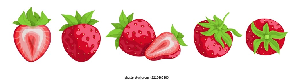 Set of ripe strawberries and summer berry pieces.Cartoon vector graphics.
