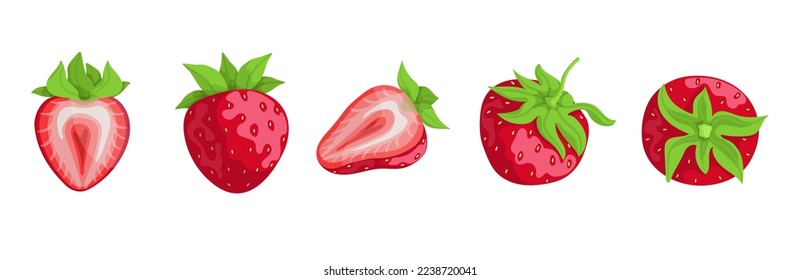 Set of ripe strawberries and summer berry pieces.Cartoon vector graphics.	