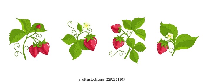Set of ripe strawberries and summer berry pieces.Cartoon vector graphics.	