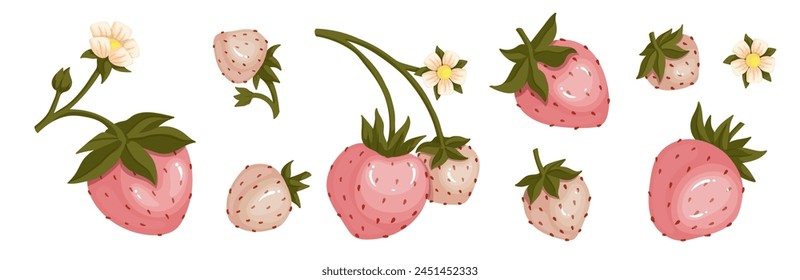 Set of ripe summer strawberries.Vector graphics.
