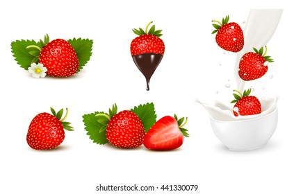 Set of ripe sweet strawberry and flower with leaves and splash of milk. Vector.