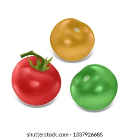 Set of ripe tomatoes isolated on white background, Tomato set of red, green and yellow colors in realistic style, vector illustration