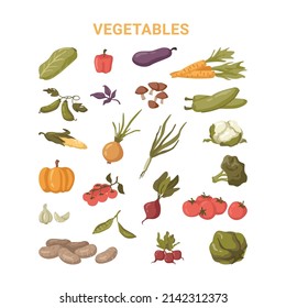 Set of ripe vegetables, isolated grocery food. Vector in flat style, Bulgarian bell pepper, mushrooms and reddish. Eggplant aubergine and onion, tomato and cabbage, garlic, carrot and potato