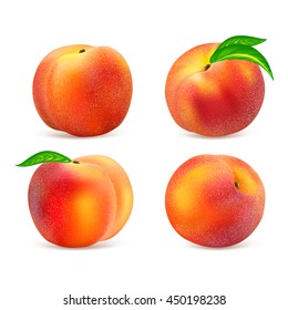 Set ripe whole peaches. Fruits collection isolated on white background. Realistic vector illustration.