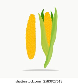 Set of ripe yellow corn with green and yellow leaves, slices and individual grains. Vector illustration in flat style isolated on white background.