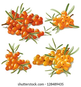 set of ripe yellow sandthorn berry with leaves
