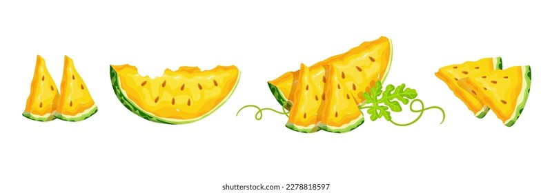 Set of ripe yellow watermelon berries and summer fruit pieces. Cartoon vector graphics.