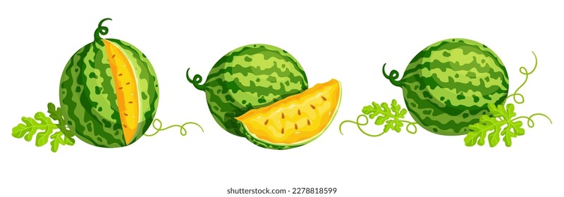 Set of ripe yellow watermelon berries and summer fruit pieces. Cartoon vector graphics.