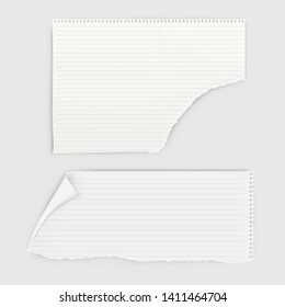 Set of ripped pieces of notebook paper.