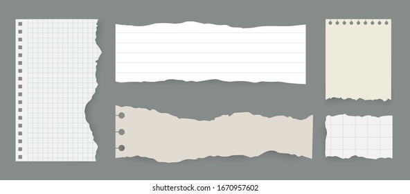 Set of ripped torn note, notebook grainy paper strips stuck in different shapes and size. Texture page, textured memo sheet. Vector illustration