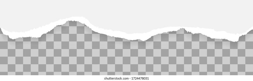 Conjunto de tiras de papel rasgadas y rotas, trozos de tiras de papel horizontal rotas, blancas y grises realistas con espacio para texto, plantilla de diseño de banner para web e impresión, publicidad, presentación, vector.