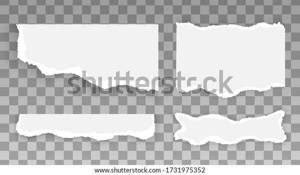 Set of ripped and torn paper stripes, pieces of\
torn, banner design template for web and print, advertising,\
presentation. White and grey realistic horizontal paper strips with\
space for text. Vector.