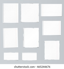 Set of ripped white, ruled, math notebook paper are stuck on gray background