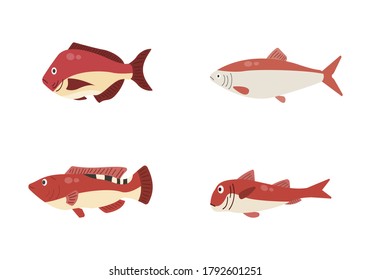 Set of river fish. Fish isolated on white background. Vector illustration.