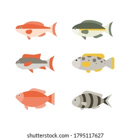 Set of river fish. Fish isolated on white background. Vector illustration.