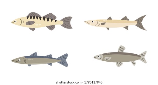 Set of river fish. Fish isolated on white background. Vector illustration.